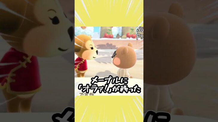 【あつ森】『クセの強い口癖』が徐々に住民へ伝染していった結果 #タツログ #あつ森 #あつまれどうぶつの森