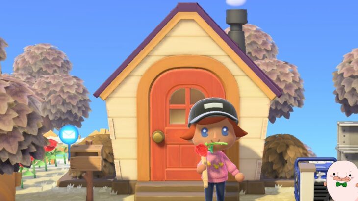 #３【あつ森】ほぼ初心者のあつ森開拓にっき！【初見様大歓迎】