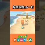 ハチに打ち勝つ🐝【あつ森】