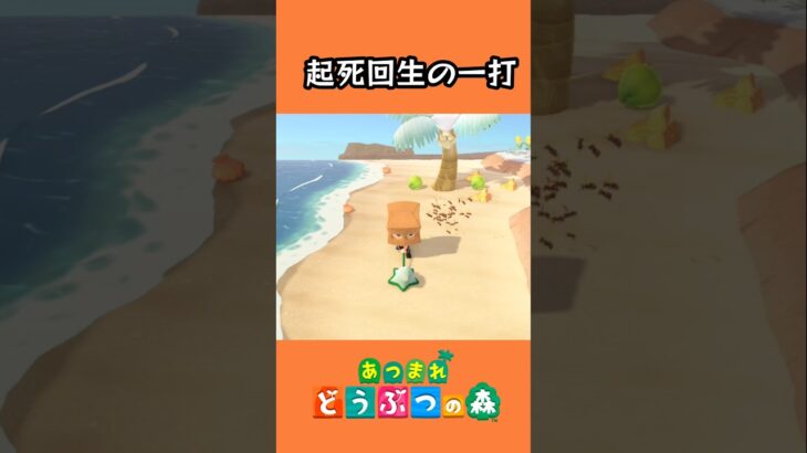 ハチに打ち勝つ🐝【あつ森】