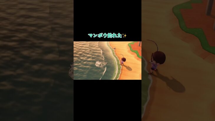マンボウ釣れたー#あつ森 #あつまれどうぶつの森