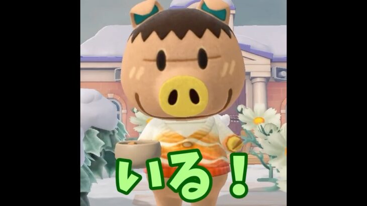 【あつ森】島に知らない人がいるぞ・・？！ #あつ森 #あつまれどうぶつの森