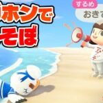 【あつ森】メガホンがきたぞ！叫べええええええ！！！【あつまれどうぶつの森】