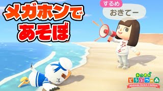 【あつ森】メガホンがきたぞ！叫べええええええ！！！【あつまれどうぶつの森】