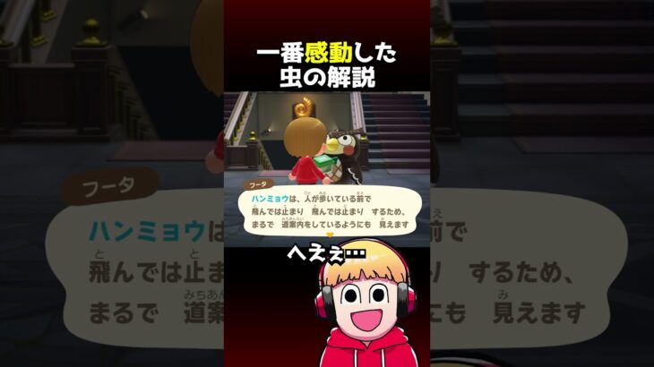 あつ森で一番感動した虫の解説