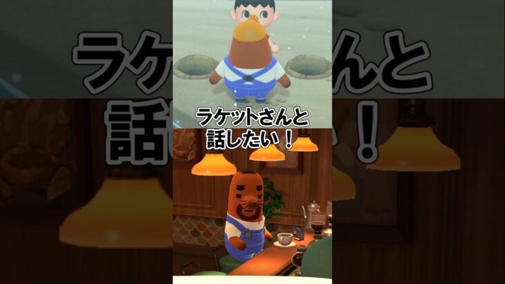 ラケットさんと話したい！【あつ森】@ほのげ