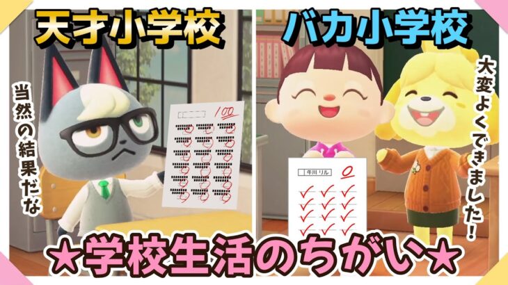 【あつ森アニメ】天才小学校とおバカ小学校＊学校生活のちがい【あつまれどうぶつの森】