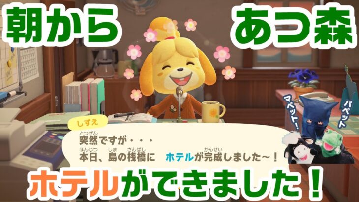 朝からあつ森！パペットマペッ島にホテル完成！パペットマペットあつまれどうぶつの森生放送🐮🐸