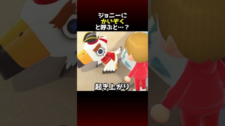 【あつ森】ジョニーを「かいぞく」と呼んだ時のメッセージがヤバすぎた…