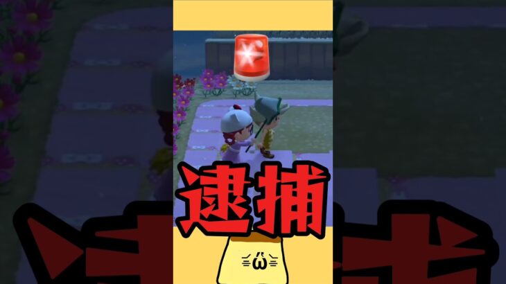 リスナーの島に遊びにいくぷ！#あつ森 #あつまれどうぶつの森 #離島ガチャ