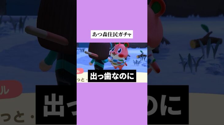 大当たりの日#あつ森 #あつまれどうぶつの森 #ゲーム配信