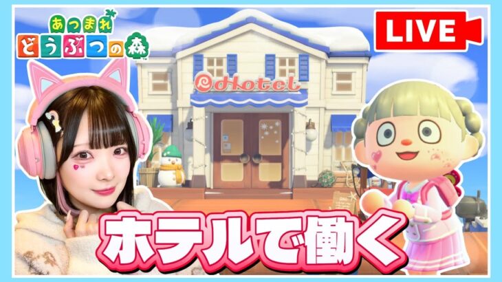 【生配信】ホテルで『最高のお部屋づくり』をしていくぞ～🏨✨【たまちゃん】【あつ森 / あつまれどうぶつの森】