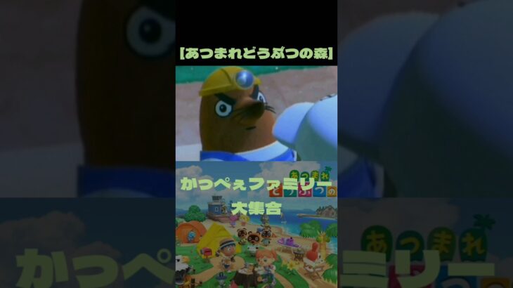 [あつ森]かっぺぇファミリー大集合#あつ森 #あつまれどうぶつの森 #ゲーム実況