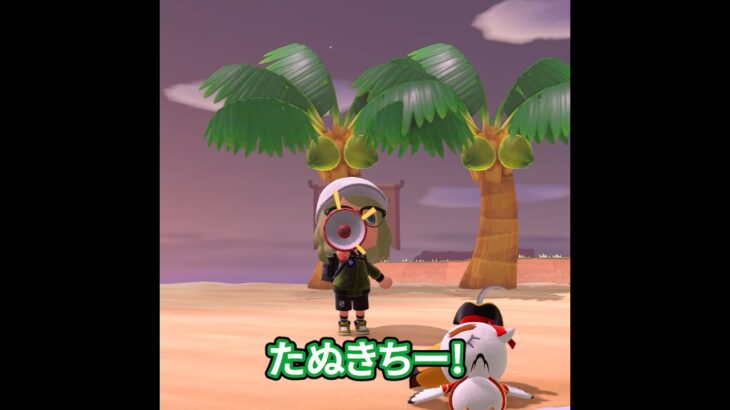 アプデのメガホンで助けを呼んでみた #あつ森