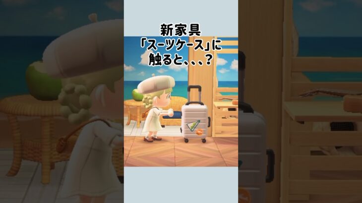 【あつ森】スーツケースに触ると？？