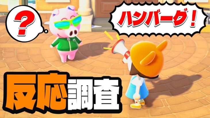 【あつ森】メガホンで住民の名前を間違えても反応する？【あつまれどうぶつの森 無料アップデート】