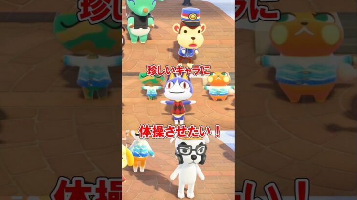 珍しいキャラクターにラジオ体操させる方法【あつ森】@ほのげ