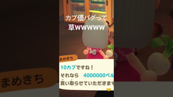 カブ価バグって大金持ちで草　#あつ森　#あつまれどうぶつの森