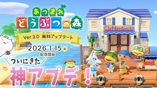出遅れたけど楽しみたい、あつ森の無料アップデート！【 あつまれ どうぶつの森 】