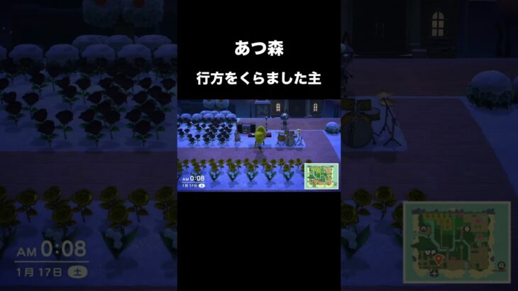 【あつ森】行方をくらました主