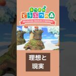 理想と現実【あつ森/ブレワイ】