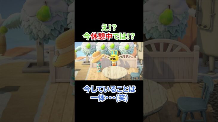 モサキチ、休憩の概念バグってる(笑) #あつ森 #あつまれどうぶつの森 #ゲーム配信