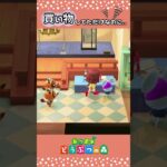 【あつ森】買い物してただけなのに..#あつ森 #あつまれどうぶつの森 #ゲーム #ゲーム実況 #切り抜き
