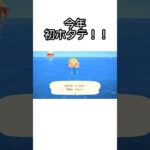 【あつ森】今年初ホタテをとった時の様子。