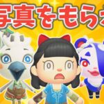 【終われません】新住民、ミネル、チューリ、みさき、なぎさの写真を集めるぞ【あつ森ゆっくり実況】