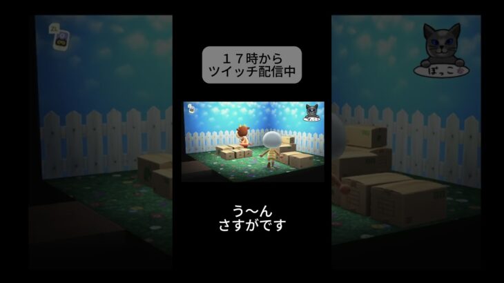 「あつまれどうぶつの森」 #あつ森 #あつまれどうぶつの森 #ゲーム実況 #ゲーム #実況