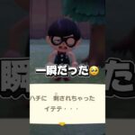 神回すぎるだろ#あつ森