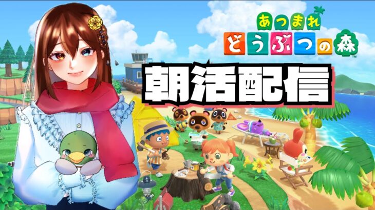 【あつ森】おはよう！朝活する！