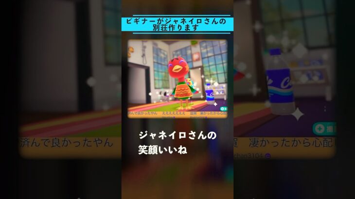 ジャネイロさん別荘 #ねっぺぺちゃんねる #あつ森 #ゲーム実況 #こじらせ実況