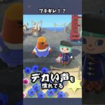 【あつ森】メガホンにリセットさんブチ切れ！？ #あつ森  #あつまれどうぶつの森  #女性ゲーム実況