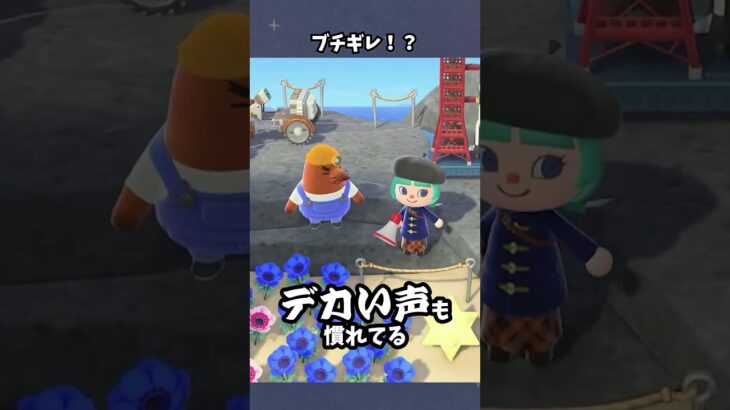 【あつ森】メガホンにリセットさんブチ切れ！？ #あつ森  #あつまれどうぶつの森  #女性ゲーム実況