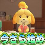 今更あつ森始めるふみっきー君⑦島クリするよ　#どうぶつの森