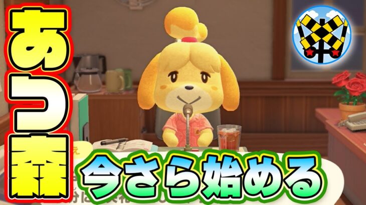 今更あつ森始めるふみっきー君⑦島クリするよ　#どうぶつの森