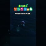 【あつ森】すいませーん！大物狙ってたんですけどー？？#あつまれどうぶつの森 #あつ森