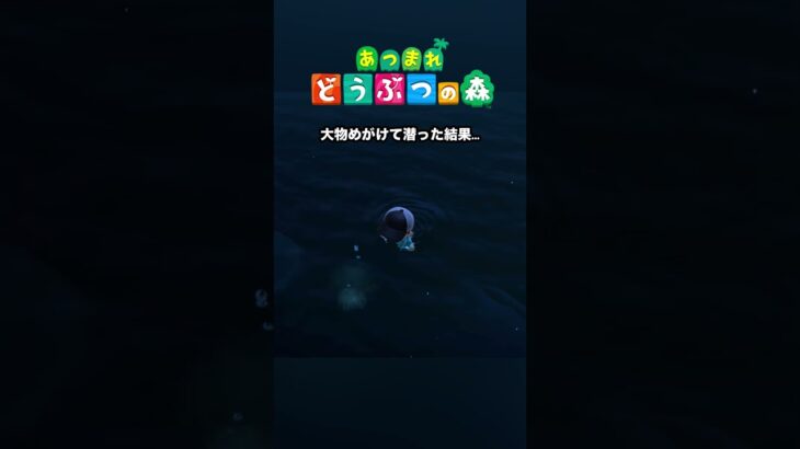 【あつ森】すいませーん！大物狙ってたんですけどー？？#あつまれどうぶつの森 #あつ森