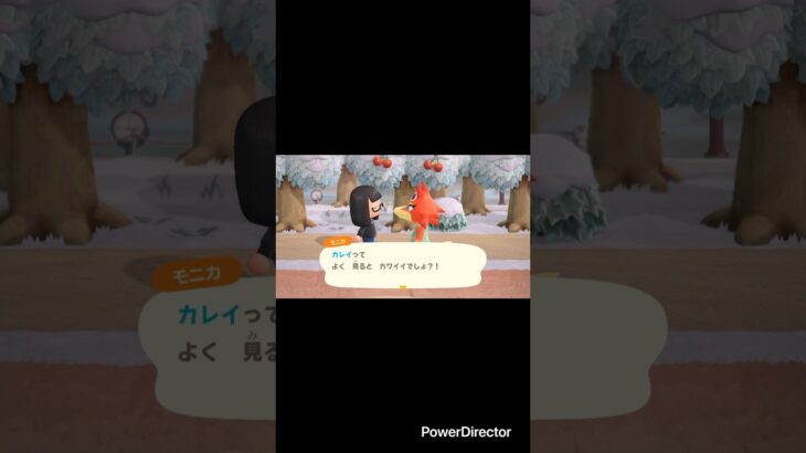 【カレイってかわいい？】 #あつ森 #あつまれどうぶつの森