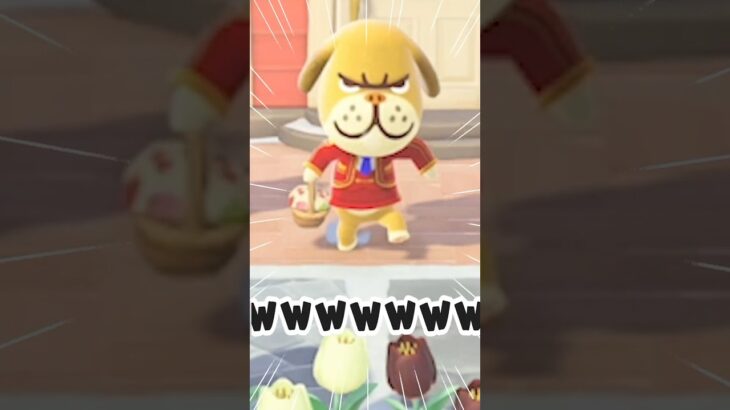 ほんまにごめん【あつ森】