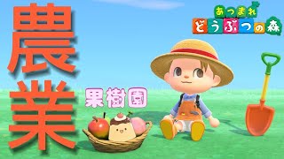 【あつ森】　農業！果樹園！🍮　#あつまれどうぶつの森