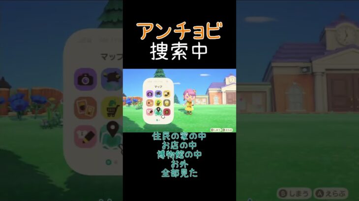 アプデ後のバグ？？【あつ森】