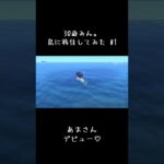 #あつ森 #あつ森初心者 #はじめてみました #目指せホテル　#いつかライブ配信できるレベルまでいきたい