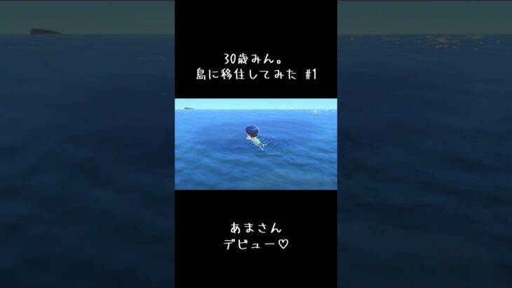 #あつ森 #あつ森初心者 #はじめてみました #目指せホテル　#いつかライブ配信できるレベルまでいきたい