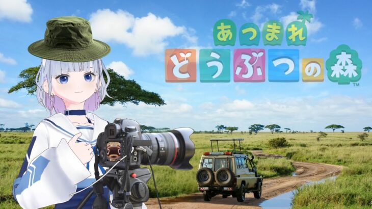 【あつ森】アップデート記念！かえり自慢の博物館をお見せします🦉✨