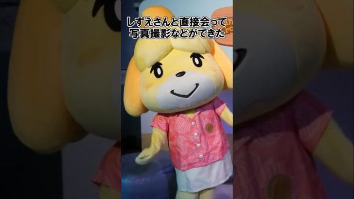 【水族館コラボ】海外ではしずえさんに会えた？【あつ森×シーライフ】