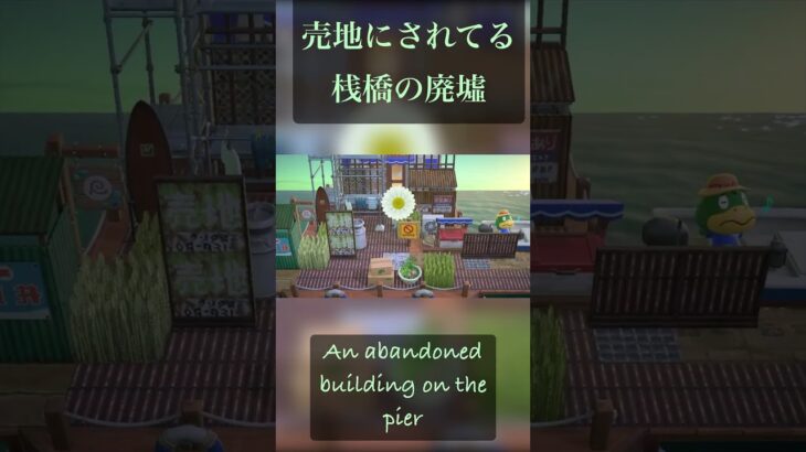 【あつ森】売地にされてる桟橋の廃墟があった…🌳【島クリエイト】