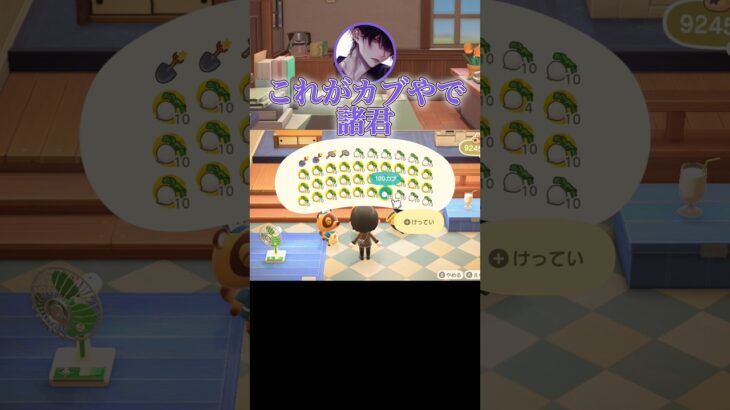 【あつ森】ほんまにカブがいっちゃん脳汁