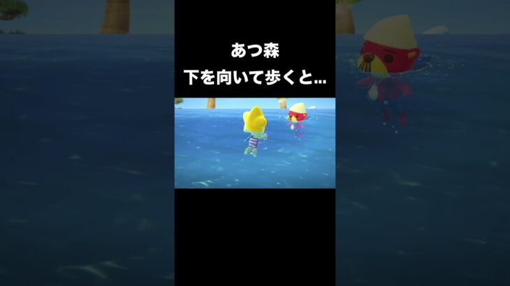 【あつ森】下を向いて歩くと…